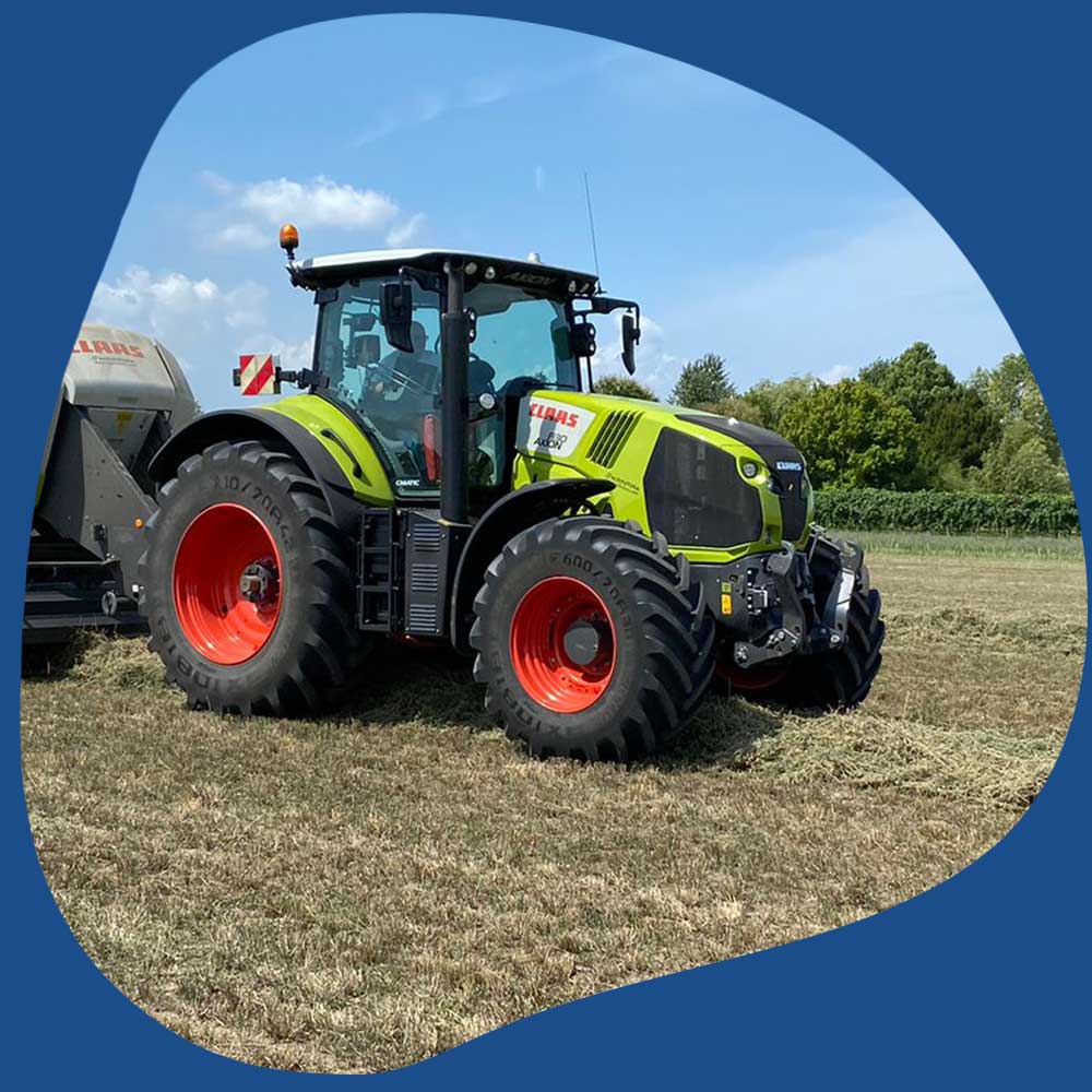 Coltivazione-con-produzione-di-foraggi-e-fieno