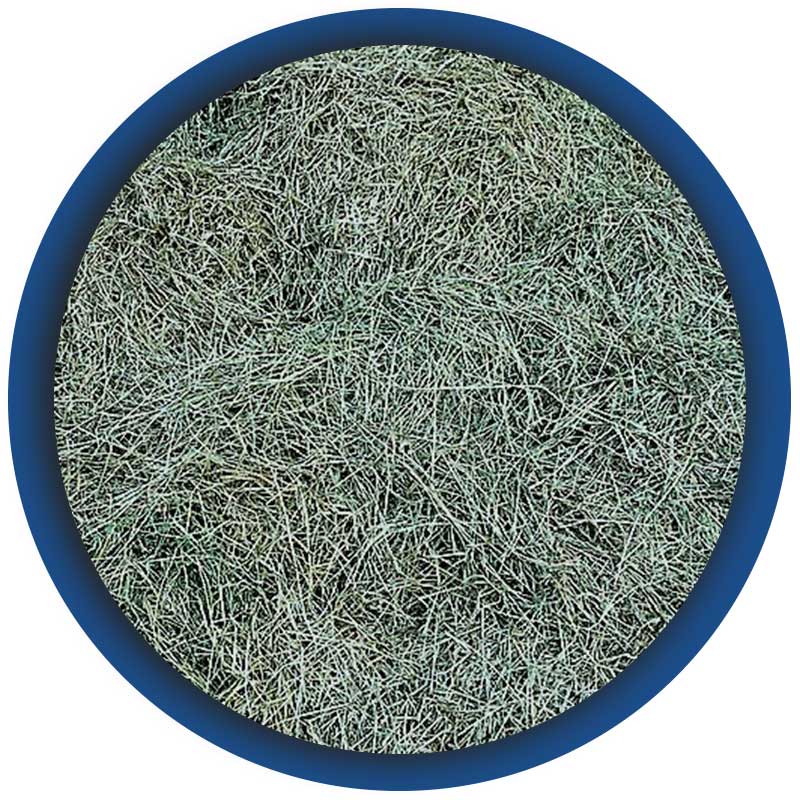 Commercio-di-fieno--I-taglio