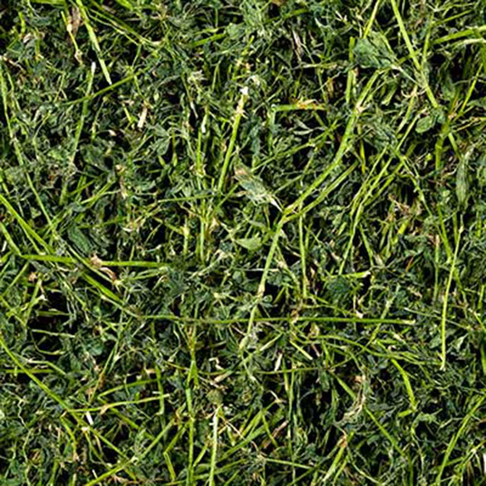 Produttore-di-insilato-e-umido-per-lattifere