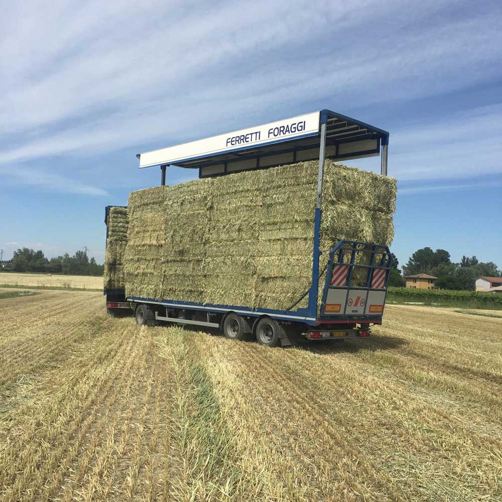 Raccolta-di-fieno-e-di-paglia