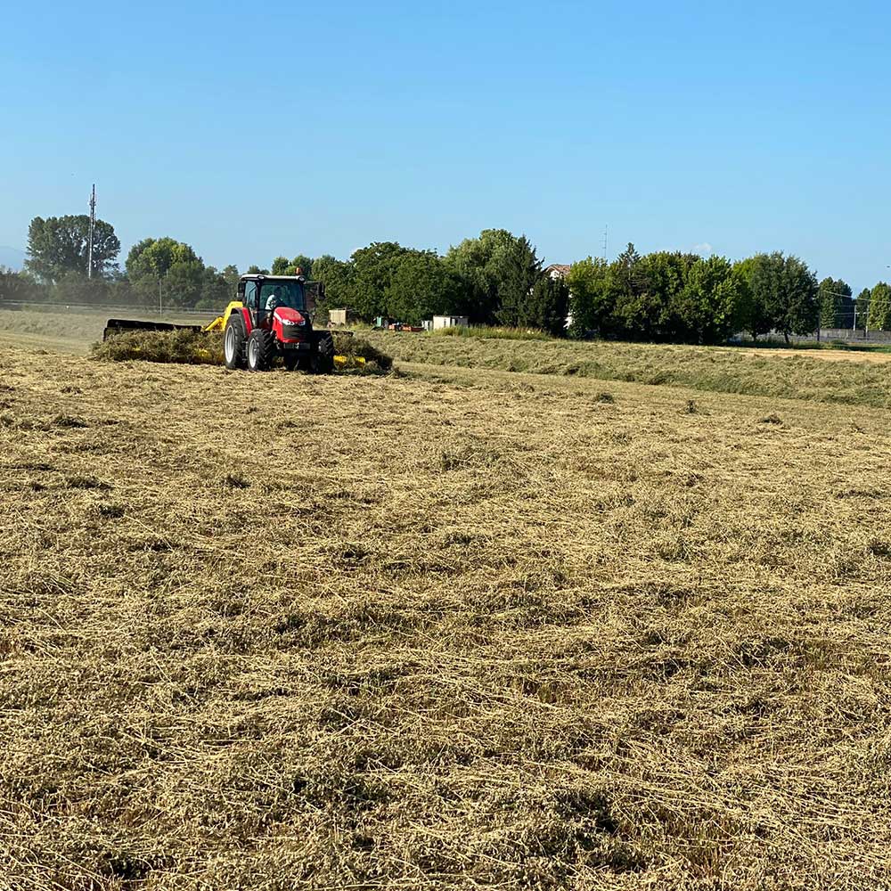 Spedizione-di-balloni-di-fieno