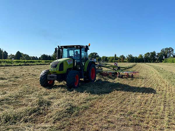 erba-medica-di-ii--di-iv-taglio-conto-terzi