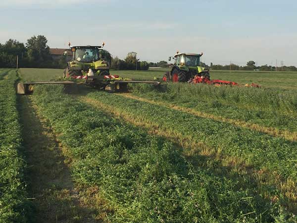 processi-di-lavorazione-estremamente-attenti