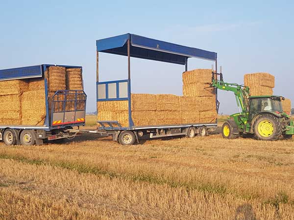 produttore-di-miscugli-foraggeri-e-erba-medica