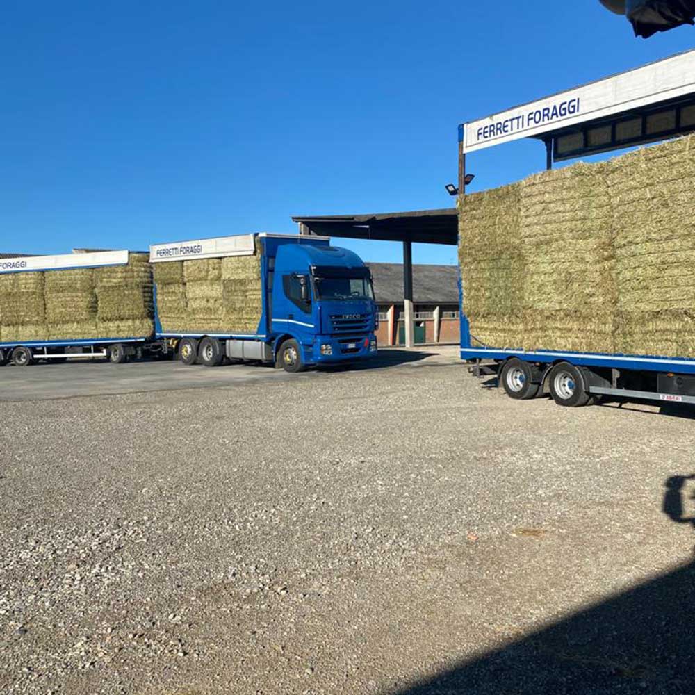 vetture-specializzate-per-la-consegna